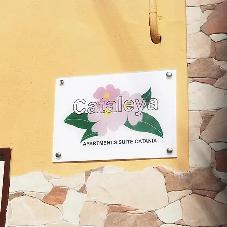 Apartament Cataleya Katania