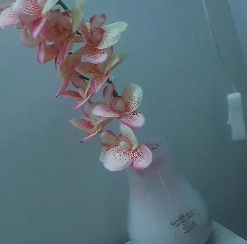 Appartement Cataleya