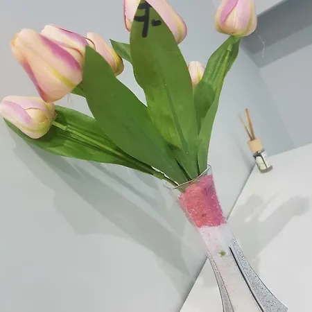 Διαμέρισμα Cataleya *