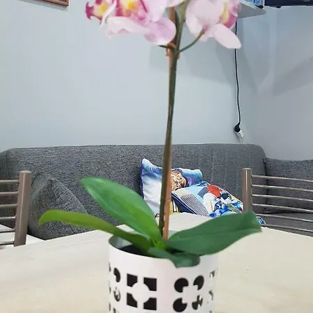 Cataleya