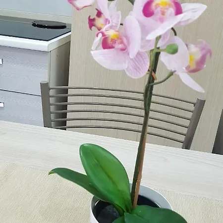 Appartement Cataleya *